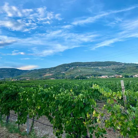 Antica Corte Valpantena شقة فيرونا