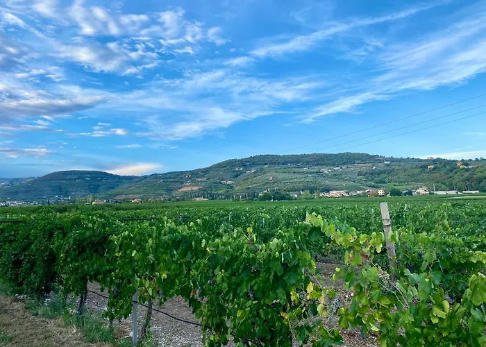 Antica Corte Valpantena 公寓 维罗纳